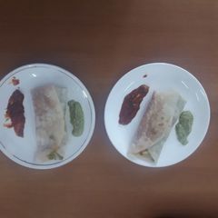 A picture of Healthy veg.wraps.