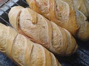Una foto de pan rellenos de jamón y queso cremoso