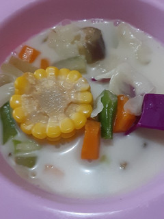 Foto resep Sayur Lodeh Bumbu iris
