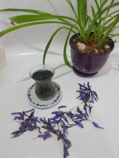 عکسی از دستور دمنوش گل گاوزبان