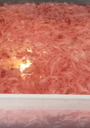 Foto resep Nutrijel lumut pink
