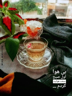عکسی از دستور چای سبز و هل
