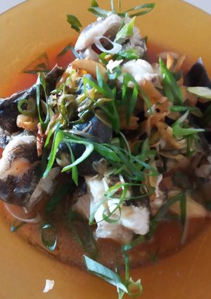 Foto resep Tim Ikan Betutu