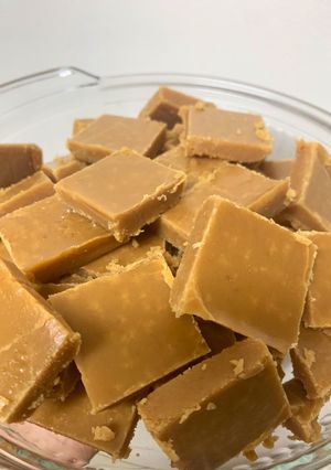 A picture of Fudge.