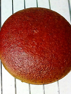 عکسی از دستور کیک لبو
