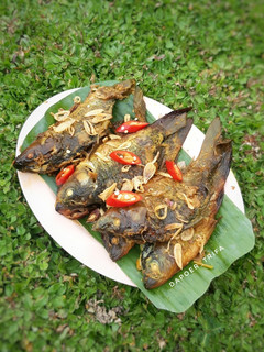 Foto resep Pindang Ikan Mas Duri Lunak