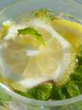 Virgin fake mojito