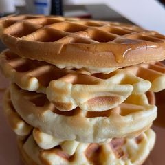 A picture of Waffles.