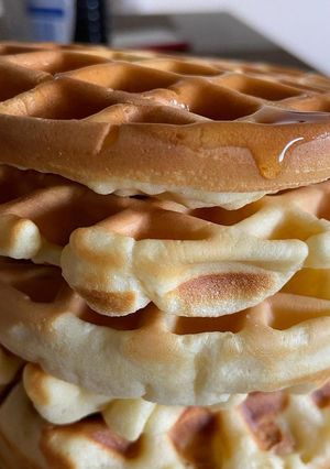 A picture of Waffles.