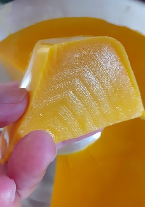 Foto resep ♨️ Puding labu ♨️