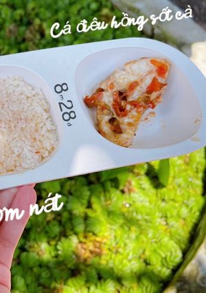 Hình của món CANH CHUA CÁ ĐIÊU HỒNG - CÁ ĐIÊU HỒNG SỐT CÀ PHIÊN BẢN EM BÉ ĂN DẶM 🥰.
