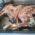 Lechazo asado