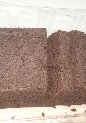 Foto resep Brownies kukus takaran sendok
