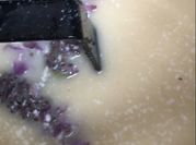 Una foto de postre kefir