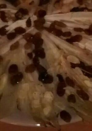 Foto di Indivia con uvetta e mandorle