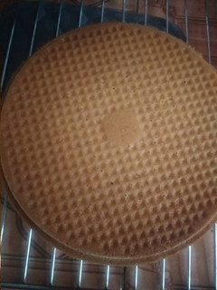 A picture of Moist vanilla cake.