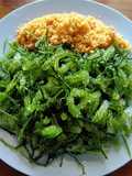 Urap Anggur Laut/Latoh/Lawi-Lawi/Sea Grapes