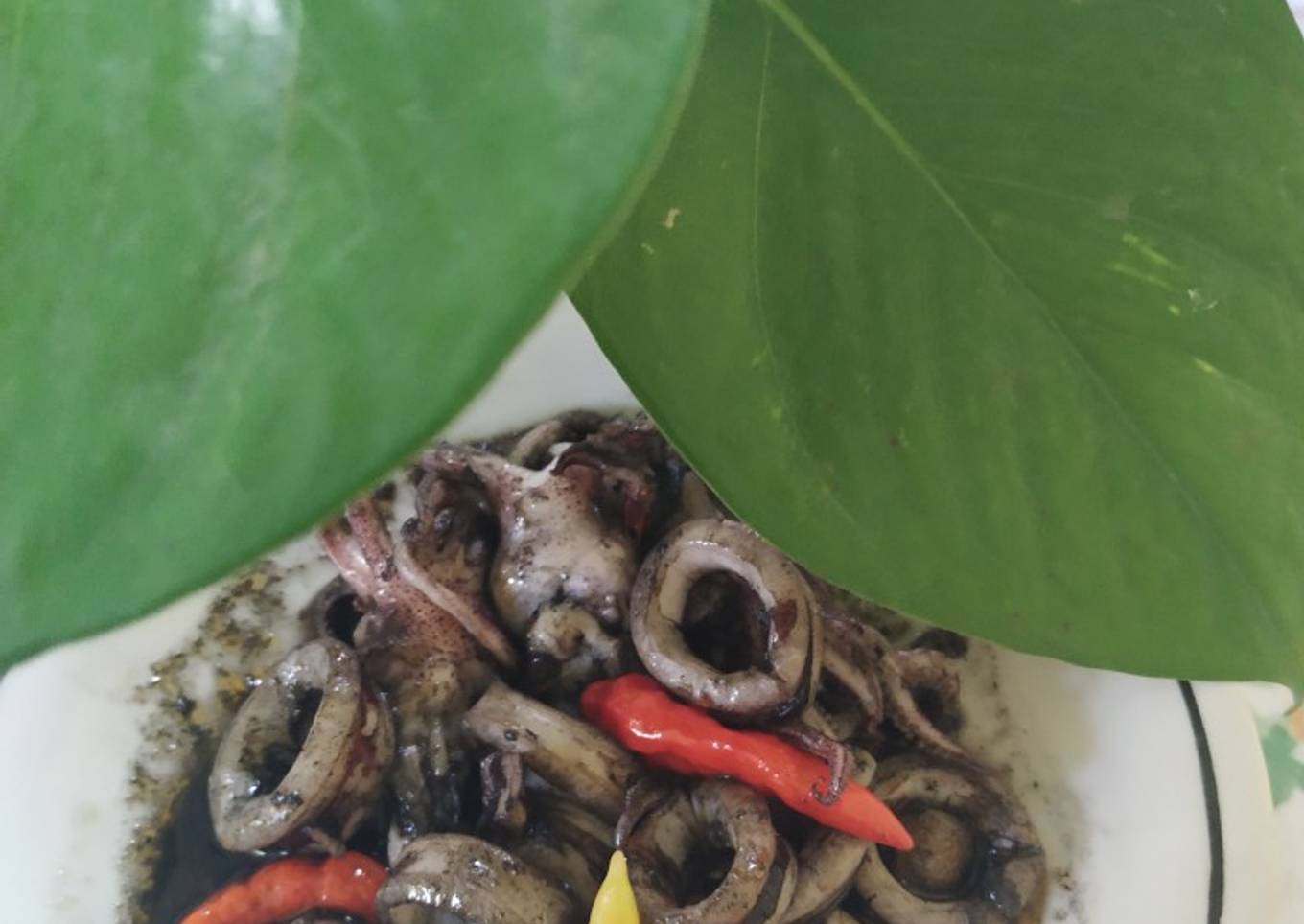 Kallamar Kallamar dan Zi