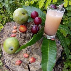 A picture of Fresh plum and mango juice.