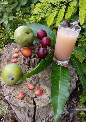 A picture of Fresh plum and mango juice.