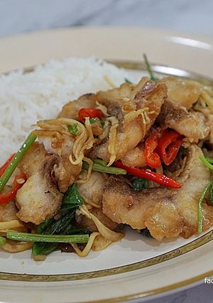รูปของ ข้าวราดปลาเก๋าผัดขึ้นฉ่าย