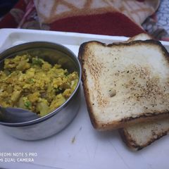 A picture of Egg bhurji with bread.