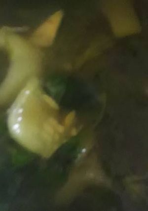 Foto resep Sayur bening timun kemangi
