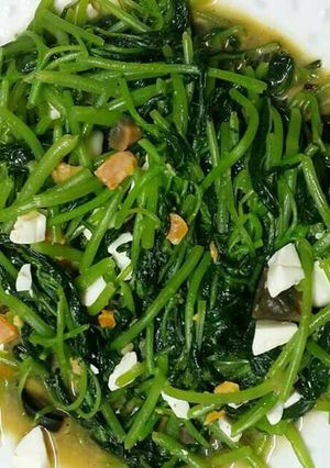 Foto resep Tumis bayam mix egg