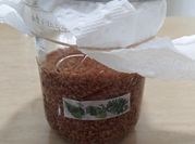 A picture of malt flavor