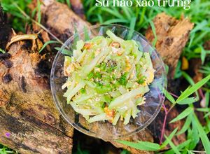 Hình của món Su hào xào trứng.