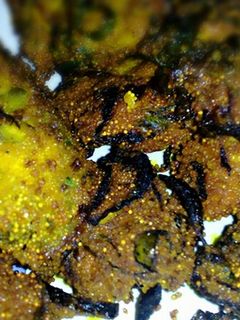 মাছের ডিমের বড়া (macher dimer bora recipe in Bengali) রেসিপির প্রধান ছবি
