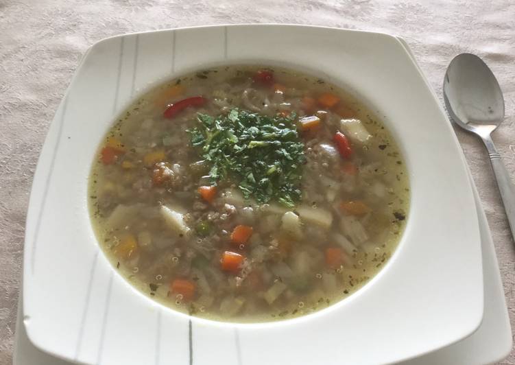 Sopa de carne con verduras