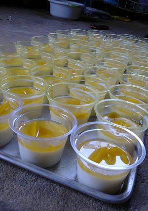 Foto resep Puding Susu Lembut