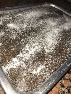 صورة لوصفة سوفليه