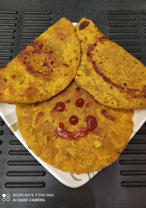 मिक्स पिठाचा पराठा (mix pith paratha recipe in marathi) रेसिपी चे मुख्य फोटो