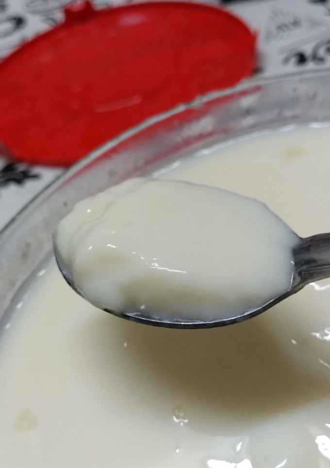 Una foto de Yogurt casero
