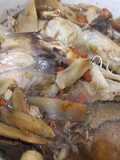 Tim ayam obat
