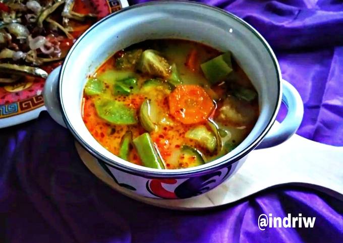 Resep Sayur Lodeh Terong Ijo Oleh Windriayu Cookpad