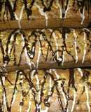 Budín de chocolate y frutos secos