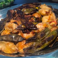 A picture of Dolma.
