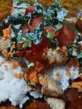 Poke Bowl