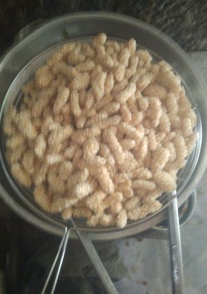 Foto resep Keciput ala emak Salsa