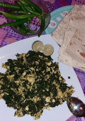 عکسی از دستور نرگسی