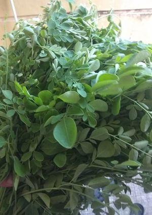 Foto resep Sayur bening daun kelor#bikinramadhanberkesan