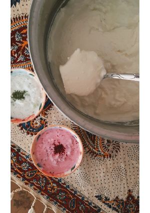 عکسی از دستور ماست خانگی