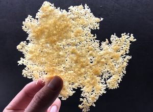 Foto di Cialda di pecorino o di parmigiano (grana)
