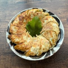 A picture of Halal Japanese Gyoza for my friend.