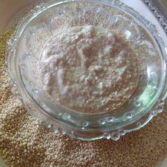 A picture of Tahini shawarma sauce.