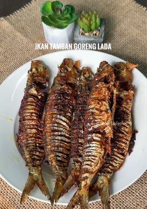 Gambar Ikan Tamban Goreng Lada