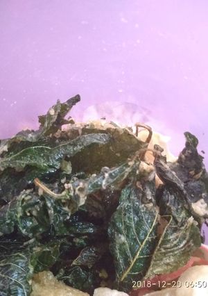 Foto resep Kripik bayam